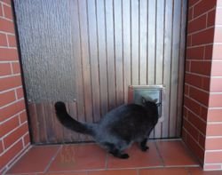 CAT MATE Drzwi magnetyczne dla kota klapka 2 sposoby wejść brązowe
