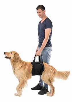 Uprząż pas szelki rehabilitacyjne psa L-XL do 45kg