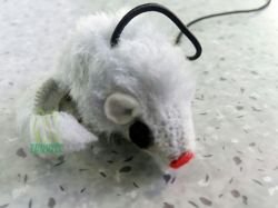Zabawka dla kota ser z wędką i myszką Trixie